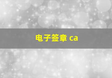 电子签章 ca